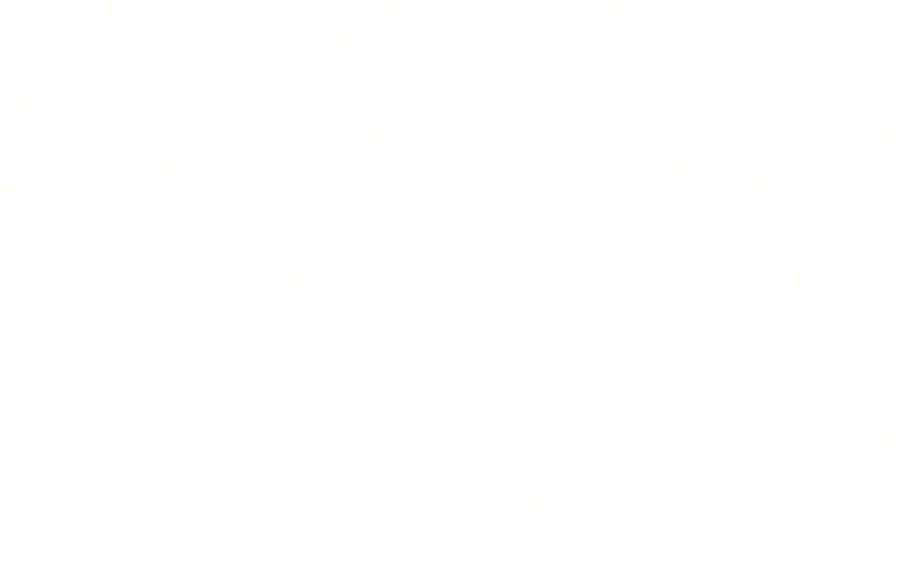 장식1
