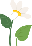 장식5